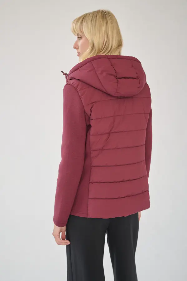 Kolor Kasztanowy