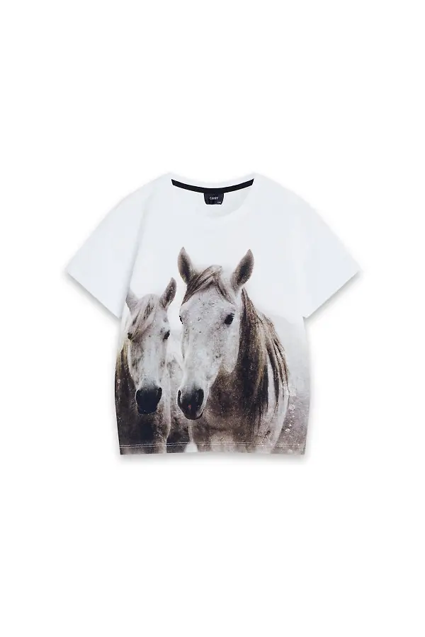 Złamany biały dziecięcy t-shirt z nadrukiem koni