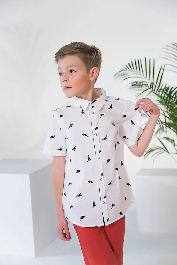 Zdjęcie produktu 1